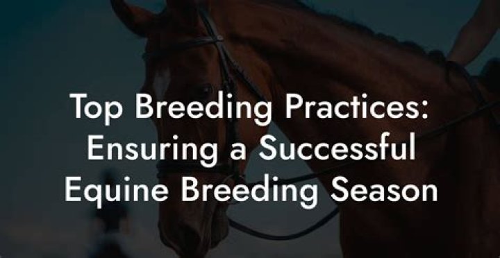 Achieving Horses Mating Successful: Your Guide to Equine Breeding Joy