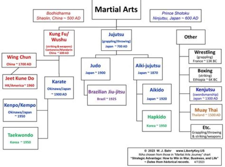 Bolo Yeung: The Enduring Presence of a Martial Arts Icon