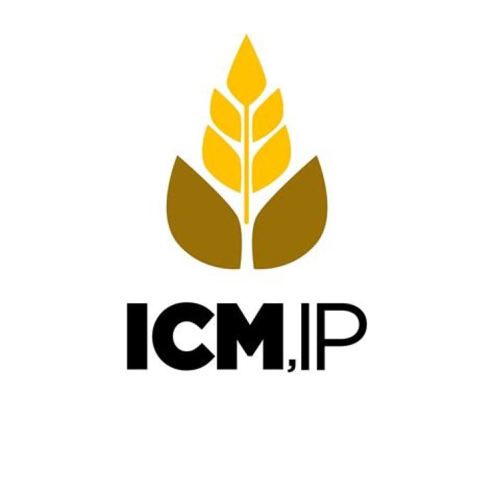 Boosting Mozambique's Harvest: The Instituto de Cereais de Moçambique's Vital Role Today