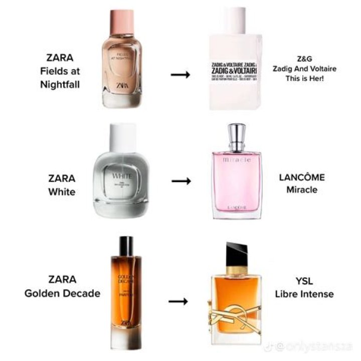 Discovering the Charm of Zara Rose Nude: Your Ultimate Guide