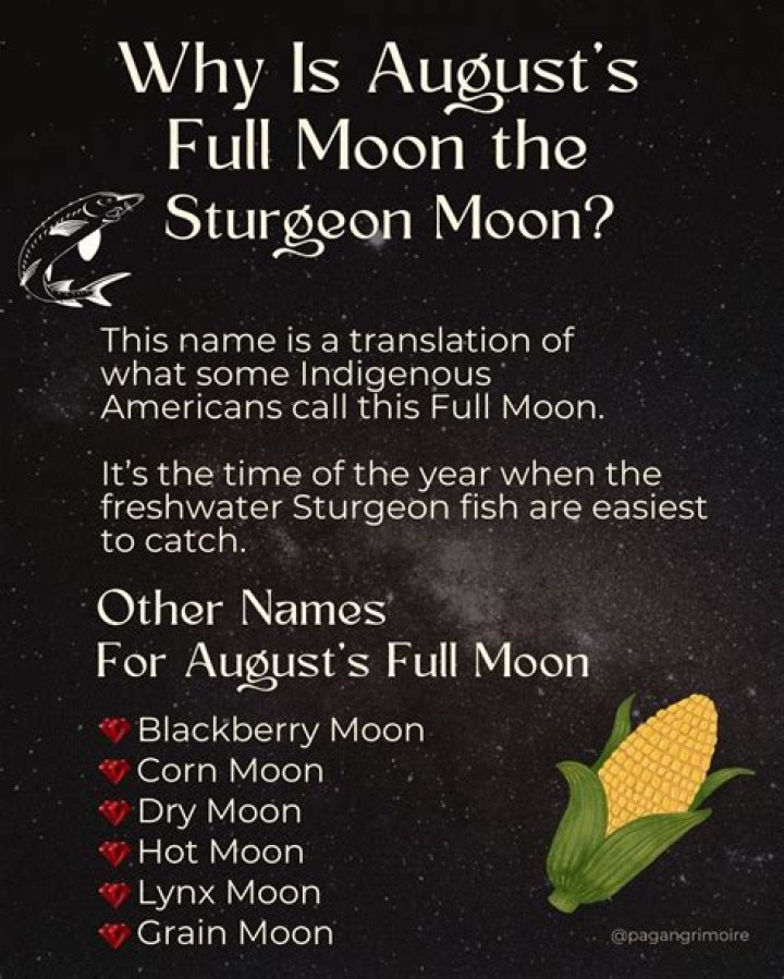 Discovering the Many Facets of the August Moon