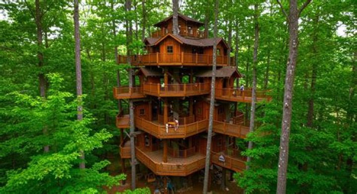 Exploring the Conservative Treehouse: A Gathering Place for Freedom-Loving Voices