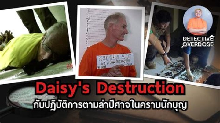 Is Daisy's Destruction Real? Uncovering the Truth About These Hardy Flowers