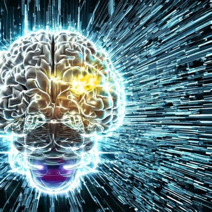 Softwe Ifsa: How Digital Brains Tell Computers What to Do