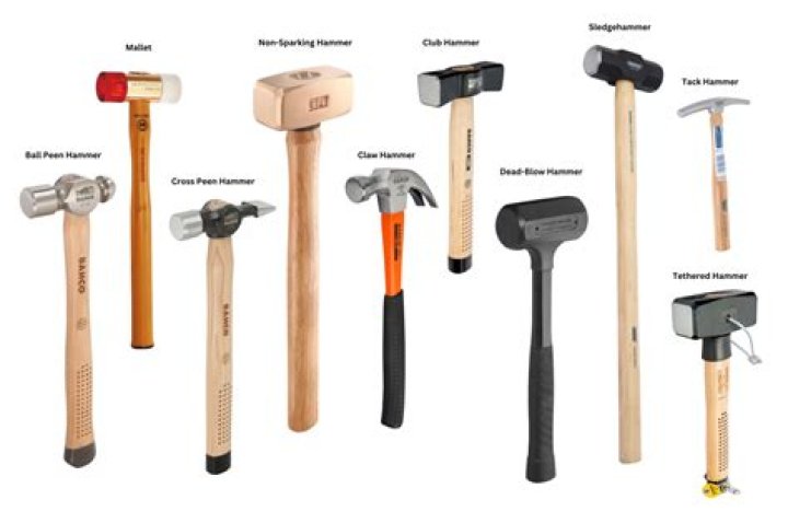 The Shared Tool: How **3 Guys One Hammer** Can Shape Your Success Today