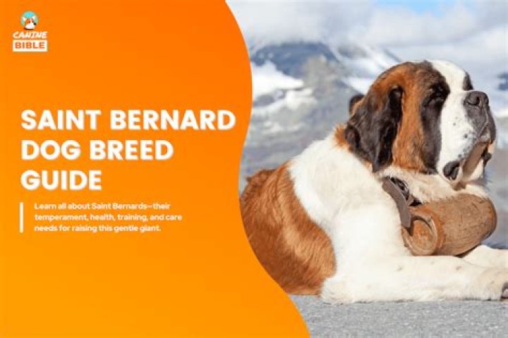 Understanding 'Dog Sexy': Traits That Make Our Canine Companions Truly Appealing