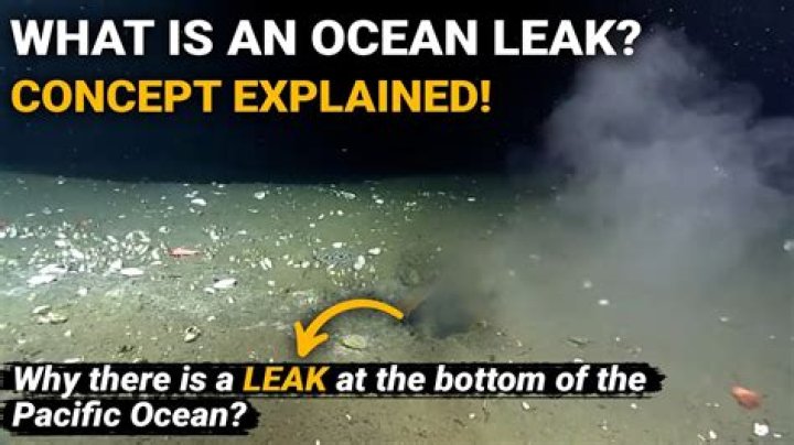 Understanding @paleseafoam of Leaks: The Subtle Digital Currents