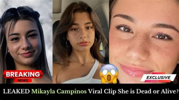 Understanding the Mikaylacampinos Leak: What it Means for Online Information