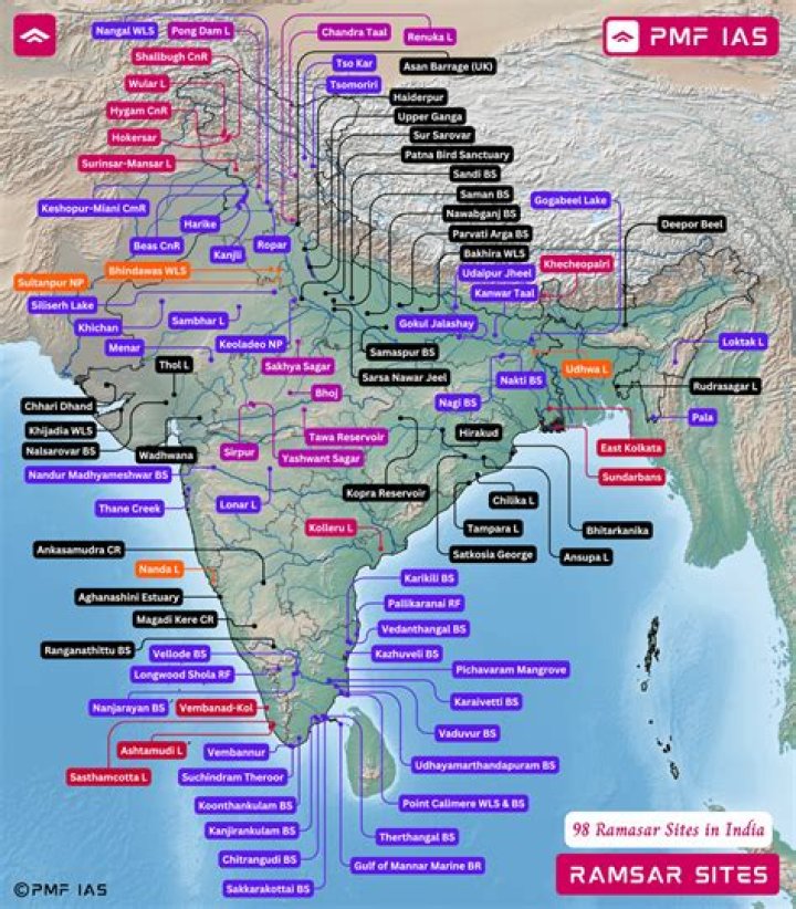 Understanding viralkanddesi: Exploring Viral Trends and Online Content in India