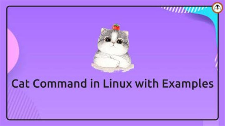 Unraveling the `cat` Command: A `cat deely` Dive into Its Many Uses Today